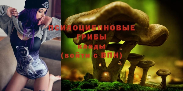 гидропоника Нягань